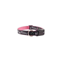 Country Brook Design® Deluxe Bugs and Hisses Ribbon Dog Collar