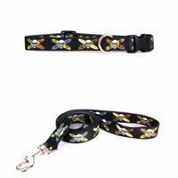 Yellow Dog Design Longboard Skulls Pet Standard Collar & Lead Set