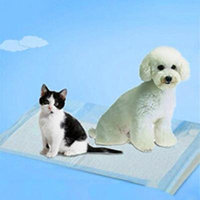 20 Pcs Comfortable Disposable Non-Woven Fabrics Pets Dogs Toilet Training Pads Dog Training Diapers