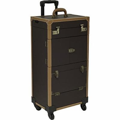 Sunrise Anconeta LED Lighted Rolling Makeup Case Professional Nail Travel Wheel Organizer, Brown Leatherette, 32 Pound