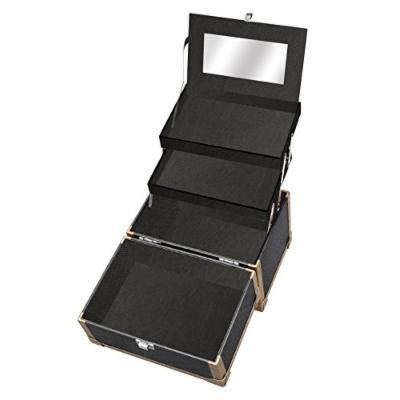Cameo Jewelry Train Organizer Makeup Case, Pack of 2
