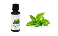 Yphone ealth Care Organic 100% Pure Pepermint Oil Essential