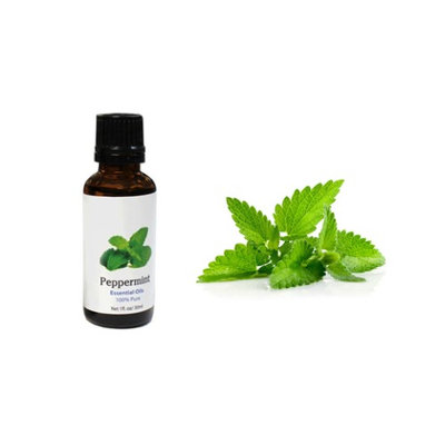 Yphone ealth Care Organic 100% Pure Pepermint Oil Essential