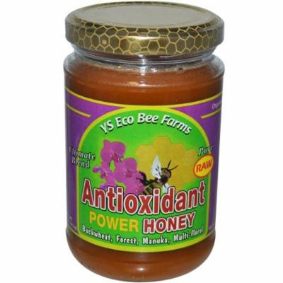 Y.S. Eco Bee Farms, Antioxidant Power Honey, 13.5 oz (pack of 2)