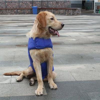Thickened Dog Jacket Comfortable Cotton Dog Coat Autumn Winter Puppy Clothes