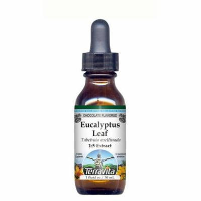 Eucalyptus Leaf - Glycerite Liquid Extract (1:5) - Chocolate Flavored (1 fl oz, ZIN: 428221) - 2-Pack