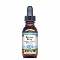 Juniper Berry - Glycerite Liquid Extract (1:5) - Chocolate Flavored (1 fl oz, ZIN: 428593) - 3-Pack