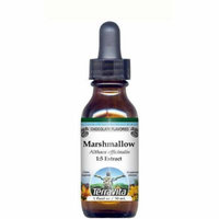 Marshmallow Root Glycerite Liquid Extract (1:5) - Chocolate Flavored (1 oz, ZIN: 513154) - 2-Pack