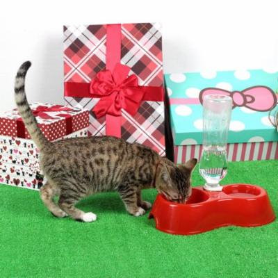 Pet Dog Puppy Cat Automatic Water Dispenser Food Dish Bowl Feeder