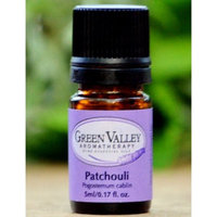 Fragrant Organic Patchouli Plant - Perfume Oils - Pogostemon - 4