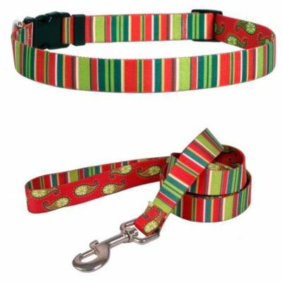 Yellow Dog Design Holiday Stripes Pet Standard Collar and Lead Set
