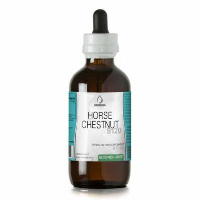 Horse Chestnut Alcohol-FREE Herbal Extract Tincture, Super-Concentrated Organic Horse Chestnut (Aesculus hippocastanum)