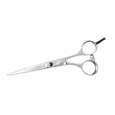 KENCHII Professional Collection KEIC55 Icon 5.5 Inch Hair Shears / Scissors