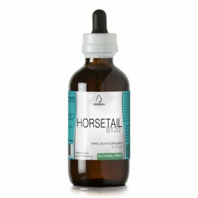 Horsetail Alcohol-FREE Herbal Extract Tincture, Super-Concentrated Organic Horsetail (Equisetum arvense)