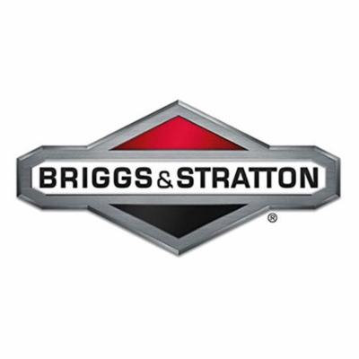 Briggs & Stratton 190656GS Oil