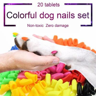 Black Cat Beauty Products 20Pcs Dog Anti-Scratch Nail Caps Soft Silicone Paw Nail Cover Nail Protectors