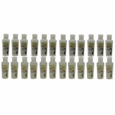 Bath and Body Works Coconut Lime Verbena Shampoo and Conditioner 12each Holiday Inn