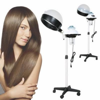 Hascon Professional Salon Hair Steamer 110V Hair Dryer