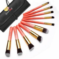 Super Saturday/Christmas Day Deal! 10Pcs Makeup Foundation Cosmetic Brush Facial Eye Cream Brush Sets with Bag cbst
