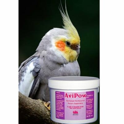 Avitech Avipow Anti-fungal & Anti-bacterial For Birds 16oz (.45 Kg)