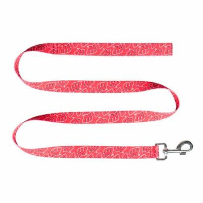 Wisconsin Pet Team Lead - 1 x 60 Inches