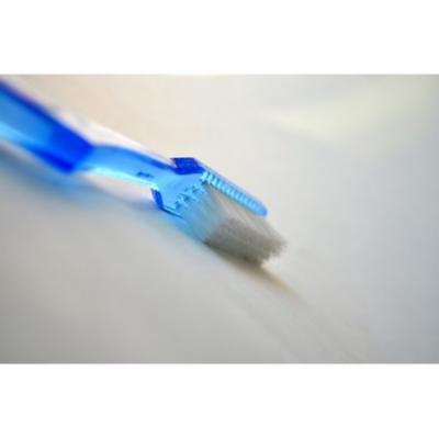 LAMINATED POSTER Brush Hygiene Dental Mouth Toothbrush Dental Care Poster Print 24 x 36