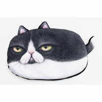 3D Grumpy Cat Small Purse Makeup bag Pouch (KT00064) Super Soft
