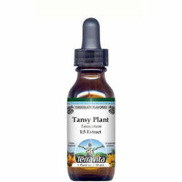 Tansy Plant Glycerite Liquid Extract (1:5) - Chocolate Flavored (1 oz, ZIN: 513157) - 3-Pack