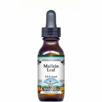 Mullein Leaf Glycerite Liquid Extract (1:5) - Chocolate Flavored (1 oz, ZIN: 513126) - 2-Pack
