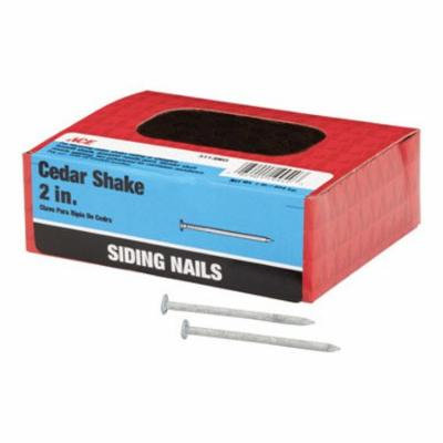ACE SIDING NAIL 2