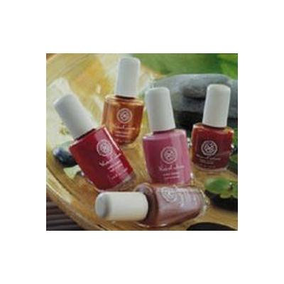Honeybee Gardens Honeybee Gardens Nail Enamel Destiny -- 0.5 fl oz