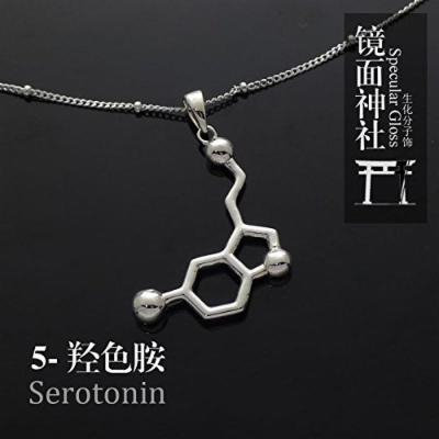 Generic silver _mirror_ 925 _shrine_serotonin_dopamine_acetylcholine_chemical_molecular_formula_ necklace pendant