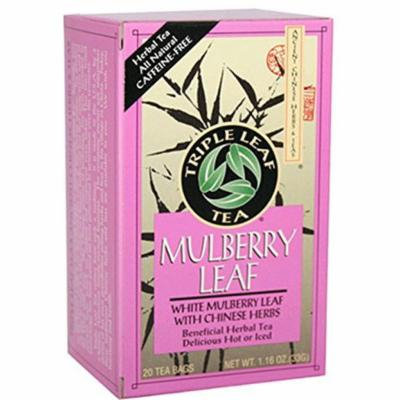 Triple Leaf Tea - Mulberry Leaf - 20 Tea Bags - 1 Case - Yeast Free - Vegan