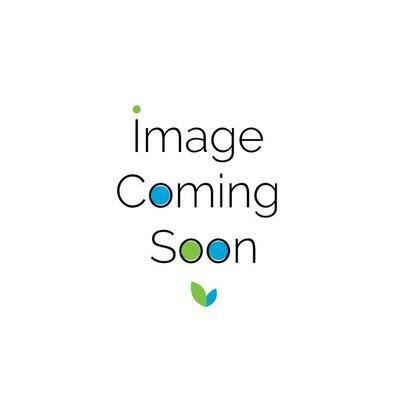 NUMI TEA, TEA, OG2, AGED EARLY GREY - Pack of 12