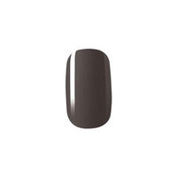 COLOR GEL (GP15V - Smoky) - Kiss Everlasting Gel Polish by N/A