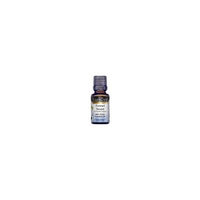 Fennel Sweet Pure Essential Oil (0.50 oz, ZIN: 305099) - 3-Pack