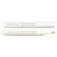 Transformer Highlighting Wand