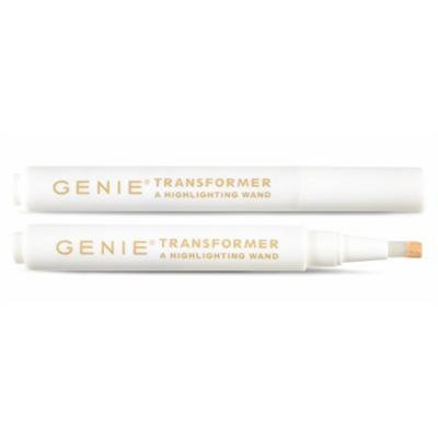 Transformer Highlighting Wand