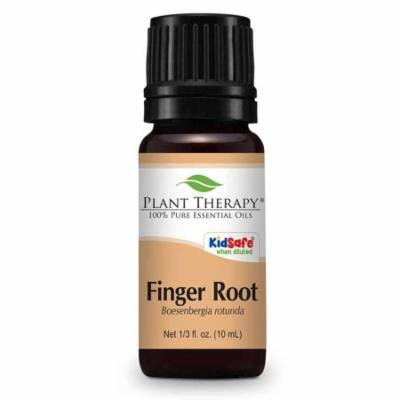 Plant Therapy Finger Root Essential Oil 100% Pure, Undiluted, Therapeutic Grade