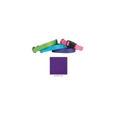 Coordinating Nylon Dog Collars Leads & Harnesses for Dogs Choose Sizes & Colors(10 to 16 x 5/8 Inch Collar - Ultra Violet)