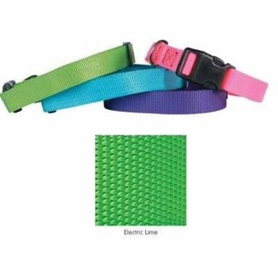 Coordinating Nylon Dog Collars Leads & Harnesses for Dogs Choose Sizes & Colors(18 to 26 x 1 Inch Collar - Electric Lime)