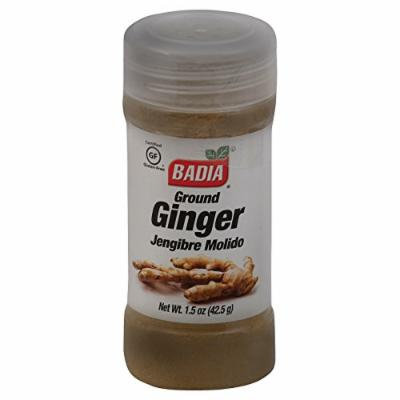 Badia Spices Ground Ginger - Case of 12 - 1.5 oz.