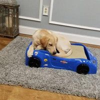 Rugnur Dog Car Bed