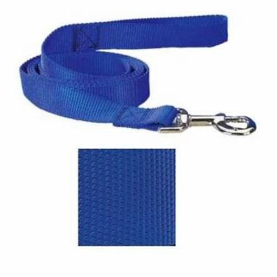Coordinating Nylon Dog Collars Leads & Harnesses for Dogs Choose Sizes & Colors(6 Ft x 1 Inch Lead - Blue)