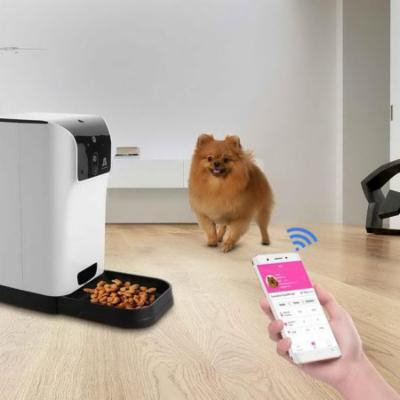 Smart Pet Feeder with Voice Recorder and Timer Programmable Automatic Food Dispenser for Dogs (Small and Medium) and Cats RYSTE
