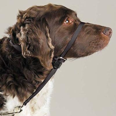 Gentle Leader Dog Head Collars - Training Stop Pulling Lunging Unwanted behavior(Medium - 25 to 60 lbs)