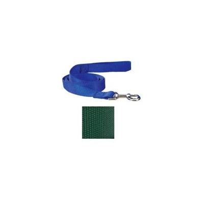 Coordinating Nylon Dog Collars Leads & Harnesses for Dogs Choose Sizes & Colors(4 Ft x 5/8 Inch Lead - Hunter Green)
