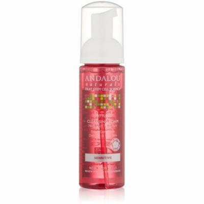 3 Pack - Andalou Naturals 1000 Roses Cleansing Foam, Sensitive 5.50 oz