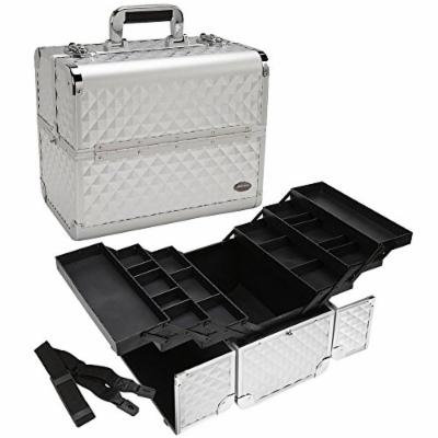 Makeup Train Case 13.5