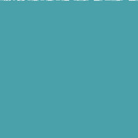 unisex Bayberry By